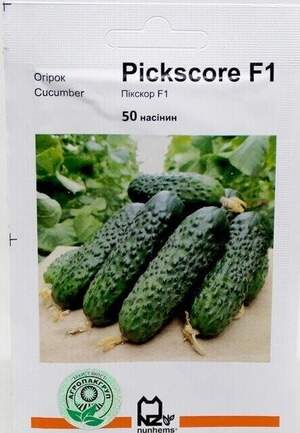 Огірок Пікскор/Pickscore F1, 50н. А  Nunhems