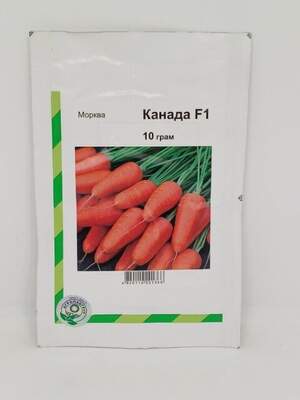 Морковь Канада 10 гр. А (Bejo) Морковь Канада 10 гр. А (Bejo)