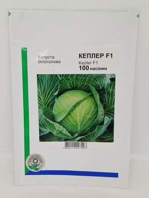 Капуста Кеплер F1 100 семян. А  (Syngenta)