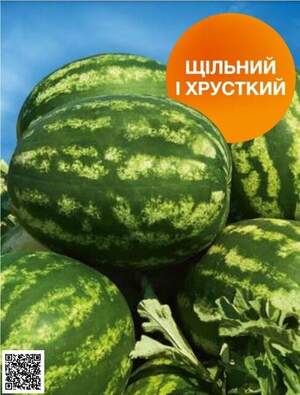 Насіння кавуна Балатон F1 1000 н.  (Syngenta)